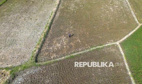 siaga-el-nino-ekstrem-tahun-ini-kementan-bakal-optimalkan-80-ribu-pompa-air-1775300447.jpg