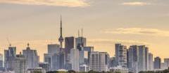 somewhere-to-put-worker-bees-why-canadas-micro-condos-are-losing-their-appeal-1767538978.jpg