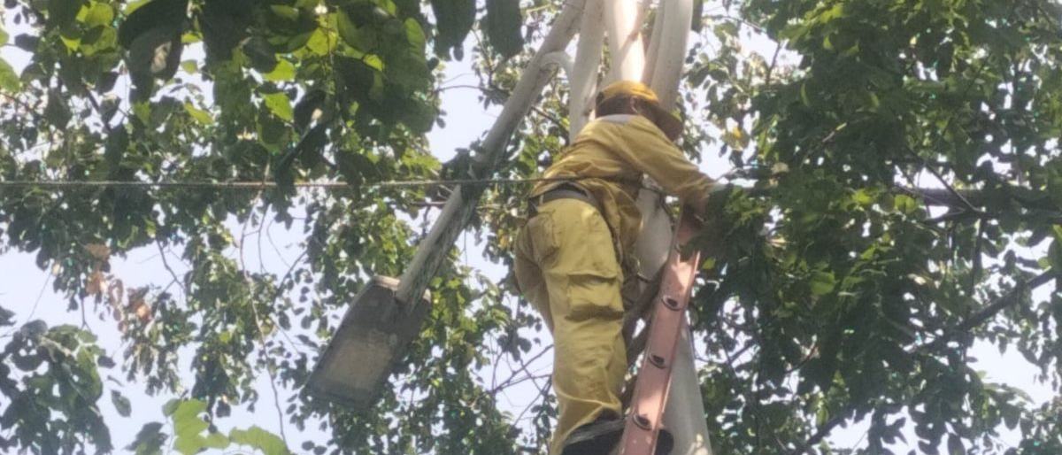Sudin Bina Marga Jaksel Targetkan Perbaikan 25 PJU Pekan Ini