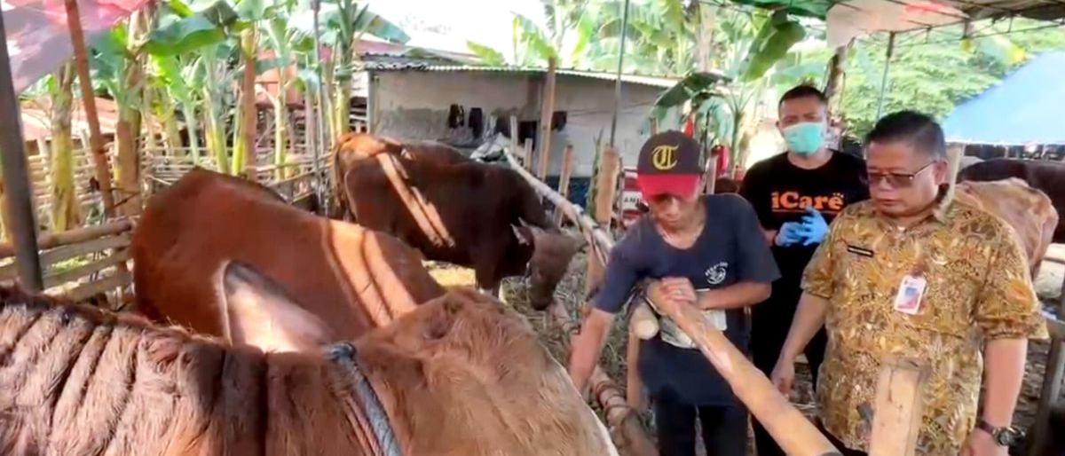 Sudin KPKP Jaksel Kerahkan 163 Petugas Awasi Hewan Kurban