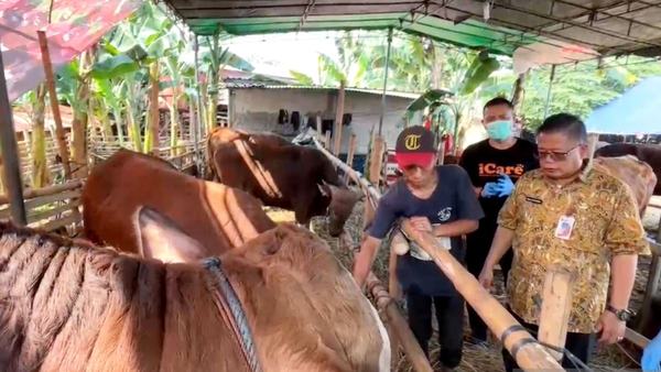 Sudin KPKP Jaksel Kerahkan 163 Petugas Awasi Hewan Kurban