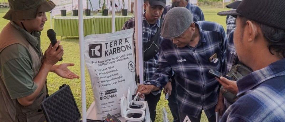 Syngenta dan TerraBaru Ubah Tongkol Jagung Jadi Biochar