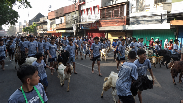 Warga Malang Gelar Tradisi Arak-arakan Hewan Kurban Idul Adha